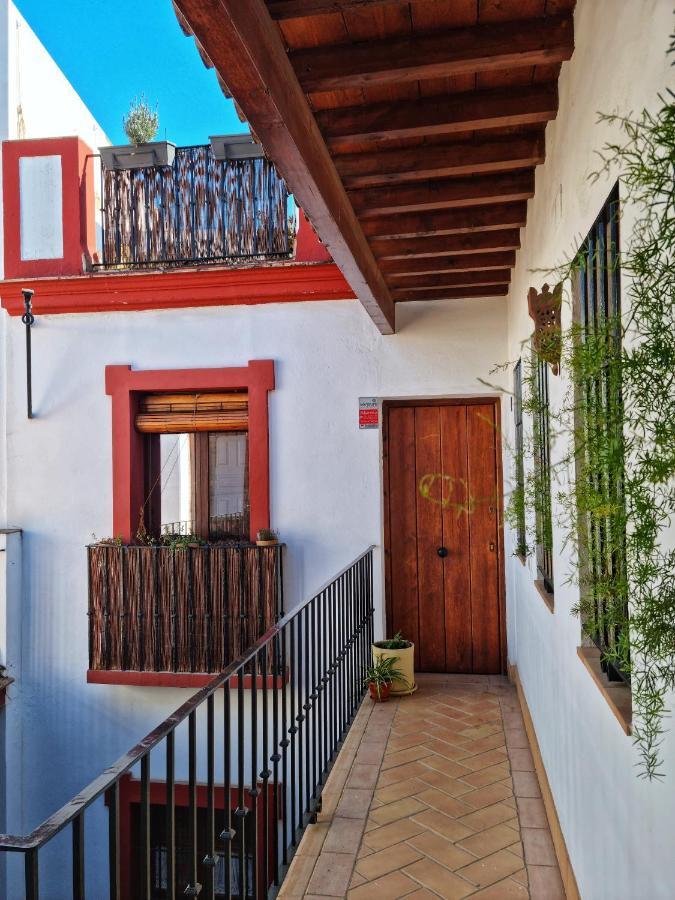 Loft & Private Rooftop With Bbq Sevilla Kültér fotó